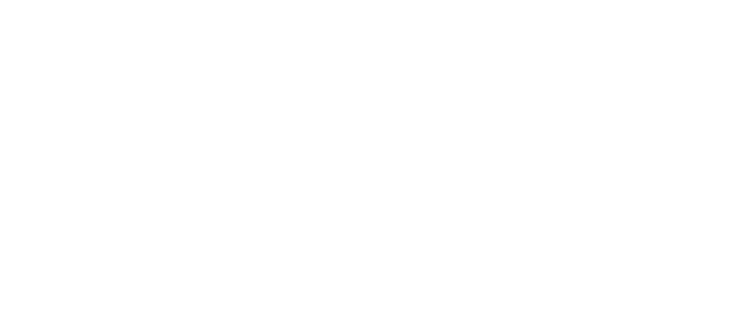 Bebedouro História e Memória